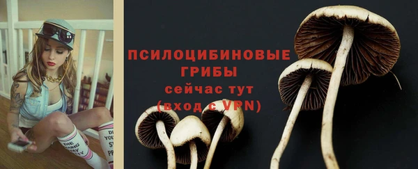spice Алексин
