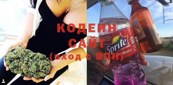 шишки Абаза