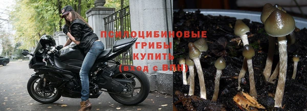 дживик Алзамай
