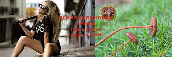 дживик Алзамай
